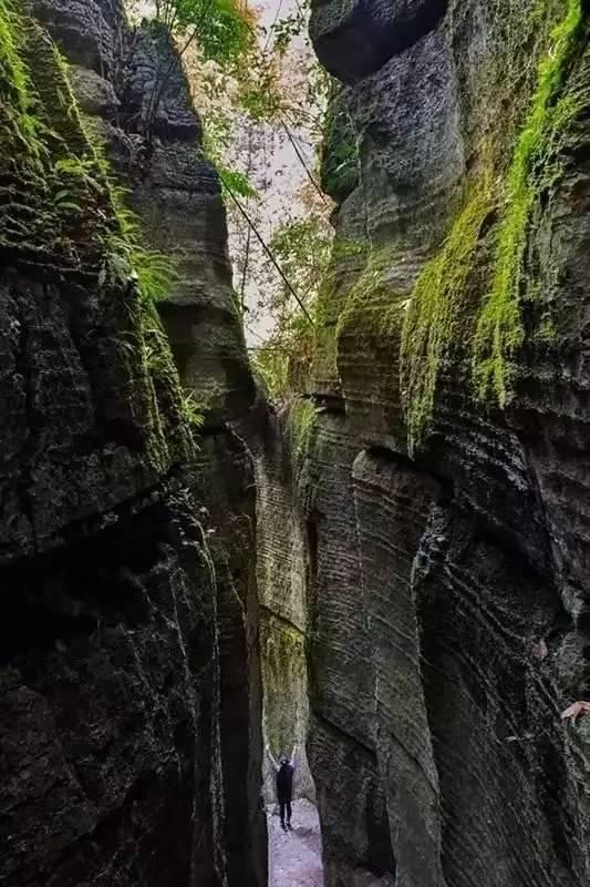 绥阳十二背后,贵州又一个世界级景区，纯正中国山地旅游代表