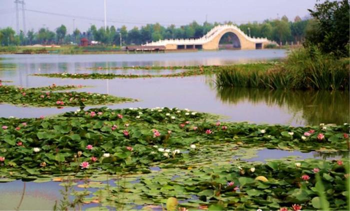 山东淄博桓台县三个值得一去的旅游景点，看看有你喜欢的吗？