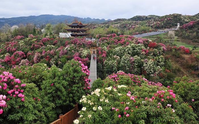 贵州毕节市：曾经是贵州最穷的地方，如今迅速崛起，成为经济黑马