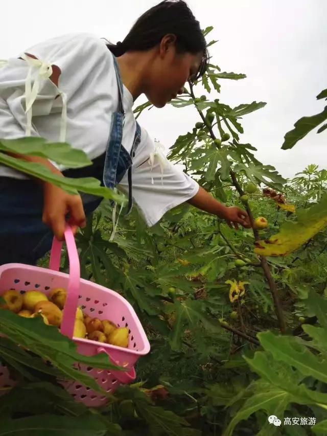 五一出游赏春踏青，宜春这座小城不负春光不负卿！