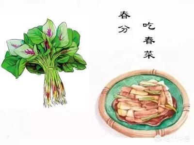 明日春分，要吃“春菜”，哪些春菜，好吃又营养，你知道吗？