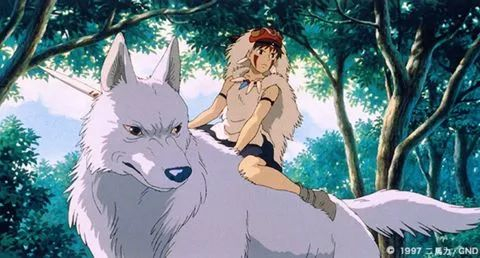 ��Щ�ʺϳ����˿��Ķ�����