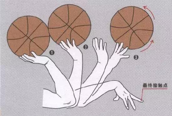 篮球基本功训练：正确投篮姿势手型教学
