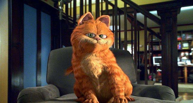 动漫大咖：3D搞笑动画《加菲猫的幸福生活》
