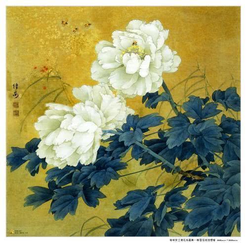 国画工笔菊花画法基础画法示范,工笔菊花上色步骤图,工笔菊花欣赏