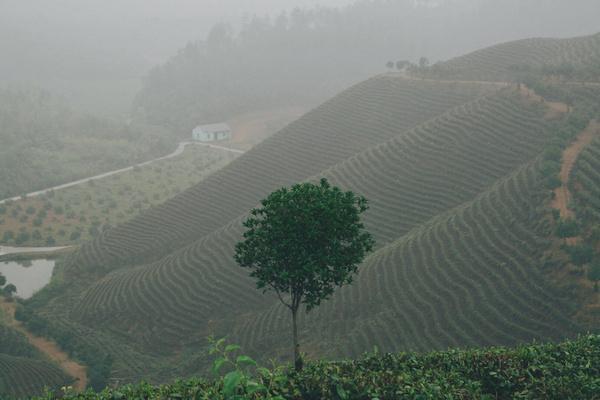 徒步仙境埭溪驾云山 探秘壮观老虎谭水库 湖州最美山水圣地