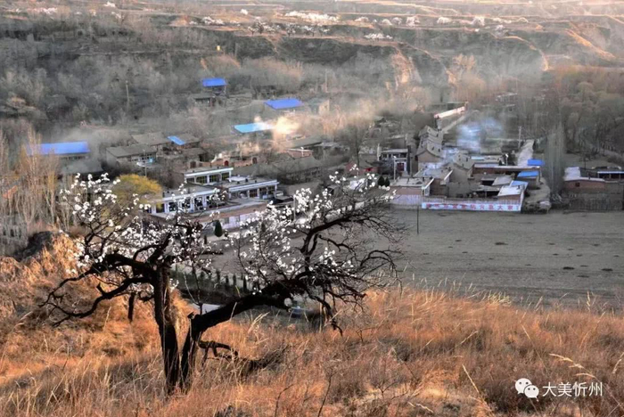 原平300上门4个小时电话多少