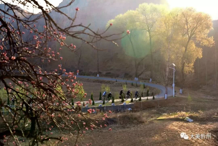 100块玩转山西省忻州市原平市：穷游攻略与深度文化体验