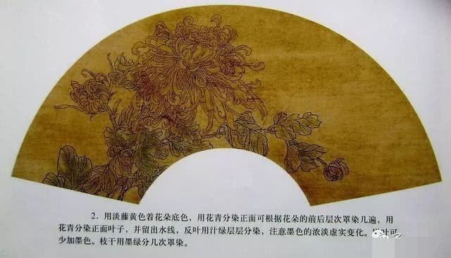 国画工笔菊花画法基础画法示范,工笔菊花上色步骤图,工笔菊花欣赏