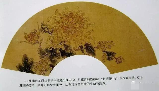 国画工笔菊花画法基础画法示范,工笔菊花上色步骤图,工笔菊花欣赏