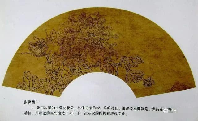 国画工笔菊花画法基础画法示范,工笔菊花上色步骤图,工笔菊花欣赏