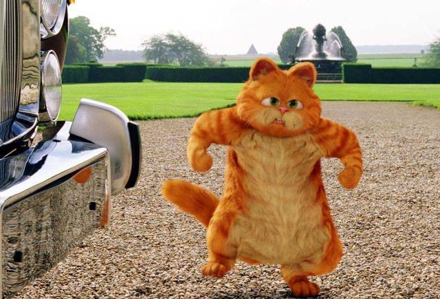 动漫大咖：3D搞笑动画《加菲猫的幸福生活》