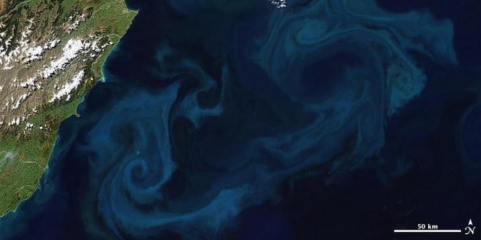 奇特！NASA卫星确认，北冰洋边缘海水变绿了！是全球变暖了吗？