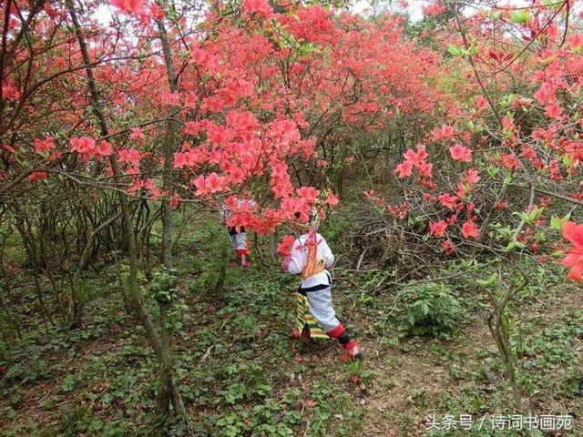 五一休假哪里去？奉嘎山奇石、映山红等你来！