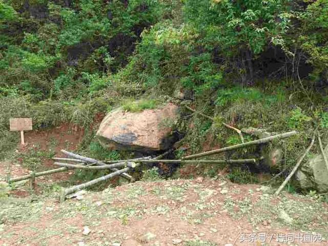 五一休假哪里去？奉嘎山奇石、映山红等你来！