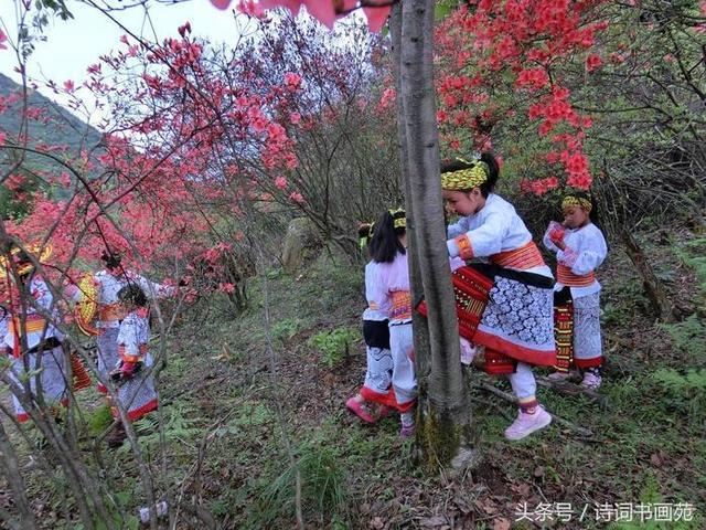 五一休假哪里去？奉嘎山奇石、映山红等你来！