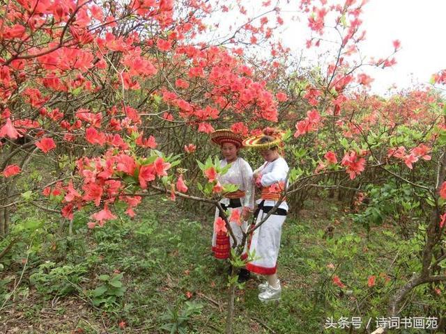 五一休假哪里去？奉嘎山奇石、映山红等你来！