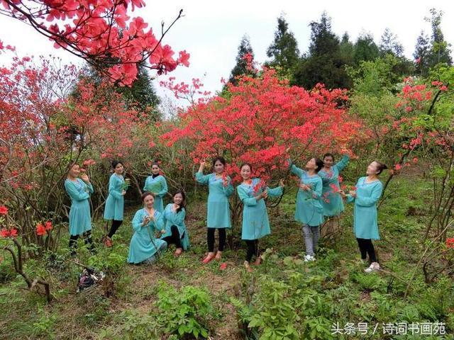 五一休假哪里去？奉嘎山奇石、映山红等你来！