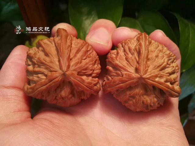 精品白狮子三棱核桃，大厚边，太难得了