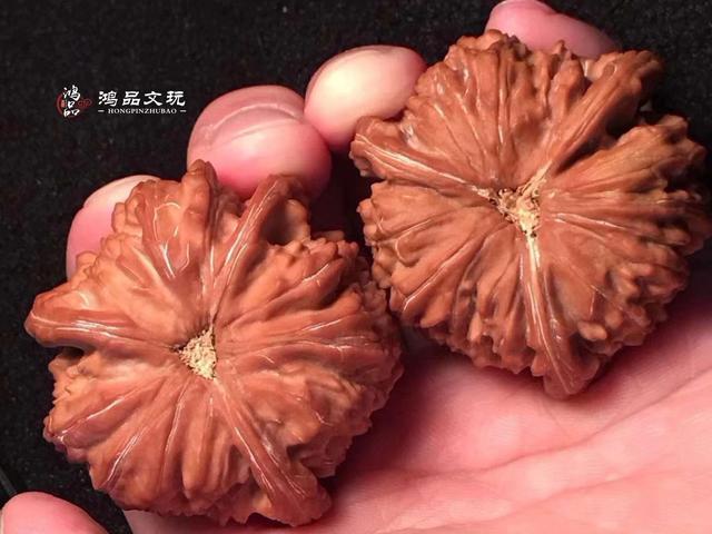 精品白狮子三棱核桃，大厚边，太难得了