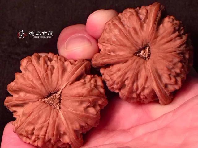 精品白狮子三棱核桃，大厚边，太难得了