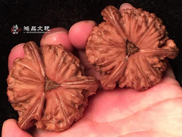 精品白狮子三棱核桃，大厚边，太难得了