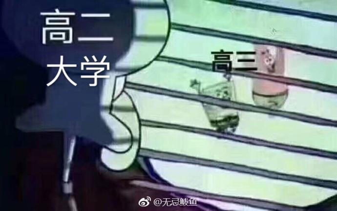 囧哥:杨梅里的虫子可以吃，而且专家说虫子还高蛋白