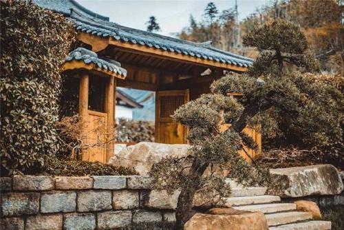 你知道酱油是哪个国家发明的吗？韩国和日本说是他们的