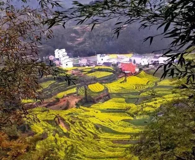 徽州文化旅游风景道｜领略绝美风光，体验徽州文化