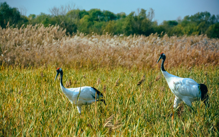 东营市行政区划及旅游景点全面解析 东营品茶上课工作室