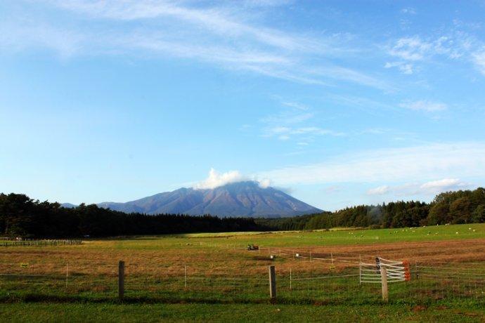 日媒推荐的这些值得一去的日本牧场,确实温馨又治愈！