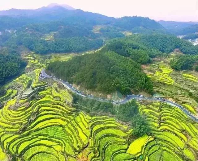 徽州文化旅游风景道｜领略绝美风光，体验徽州文化