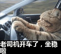 当中国老司机在温哥华考驾照，千万点暴击！
