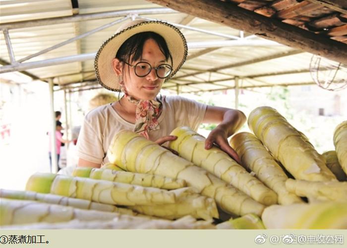 田林八渡笋了解一下 预计年产鲜笋7.8万吨