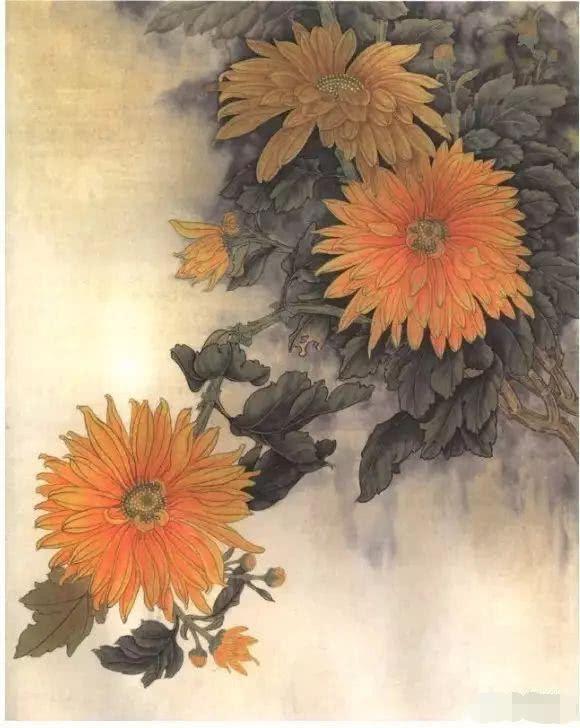 国画工笔菊花画法基础画法示范,工笔菊花上色步骤图,工笔菊花欣赏