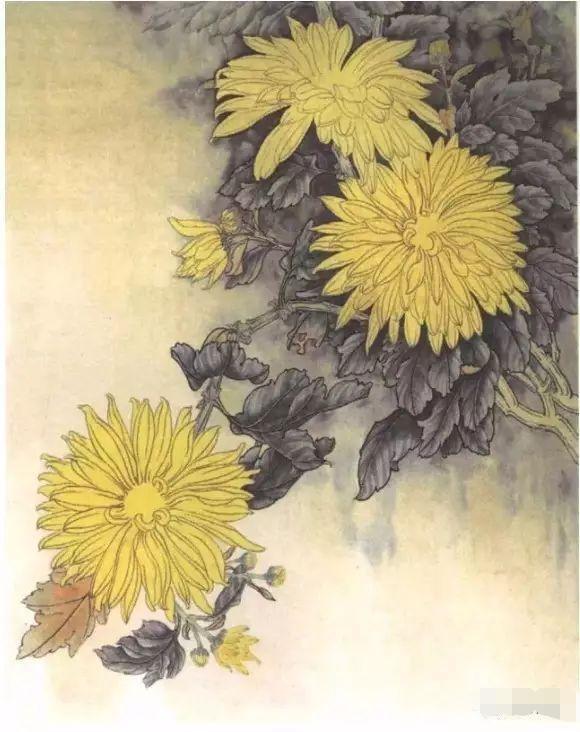 国画工笔菊花画法基础画法示范,工笔菊花上色步骤图,工笔菊花欣赏