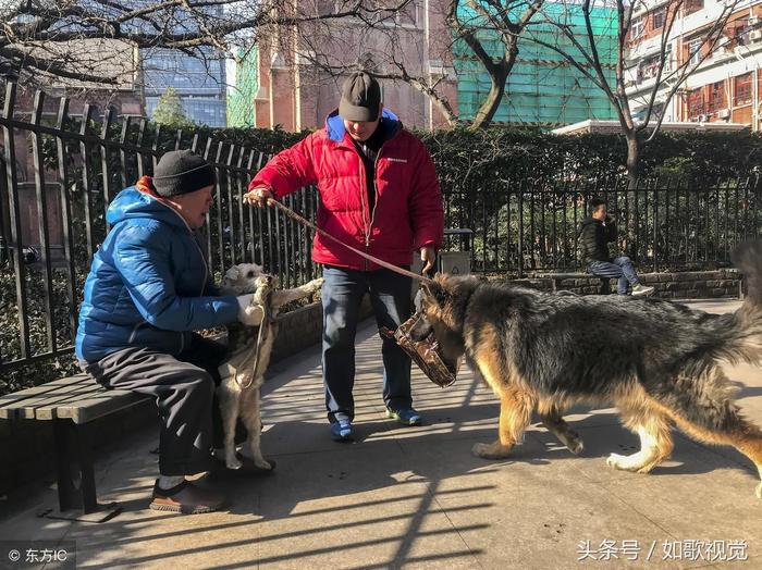 16张对比图, 看看农村老人与城市老人有啥不同, 总有一张打动你