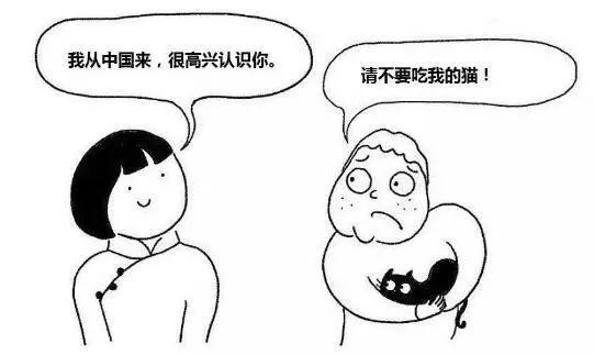 一组漫画详述“中国人与外国人的区别”！网友：广东人连猫都吃？