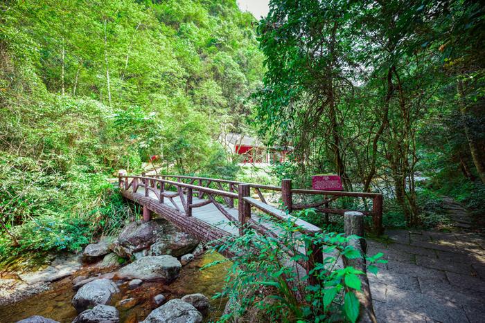 与济南三大名胜同名，却又浑然天成，遂昌千佛山，绿意禅禅