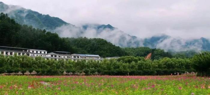 别去外地了！8月陕西这些地方最适合旅游，超惊艳！