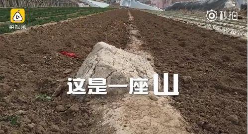 囧哥:寿光“全国最小的山”走红，仅0.6米高但挖不见底