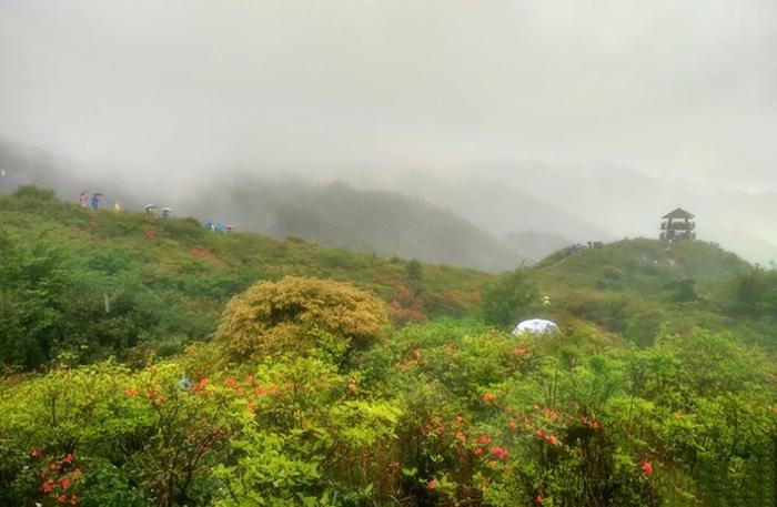 湖南长沙周末周边游玩好去处之，浏阳大围山国家森林公园