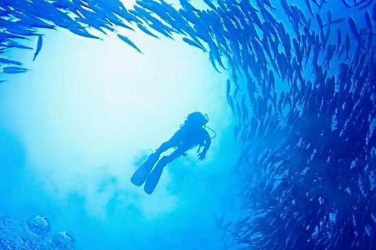 巴里卡萨岛是世界著名潜水圣地, 离薄荷岛不远, 巴里卡萨大断层