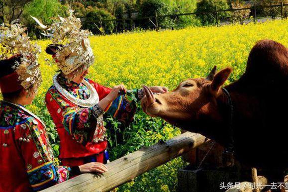 节假相约张家界，给你湘西邂逅之旅