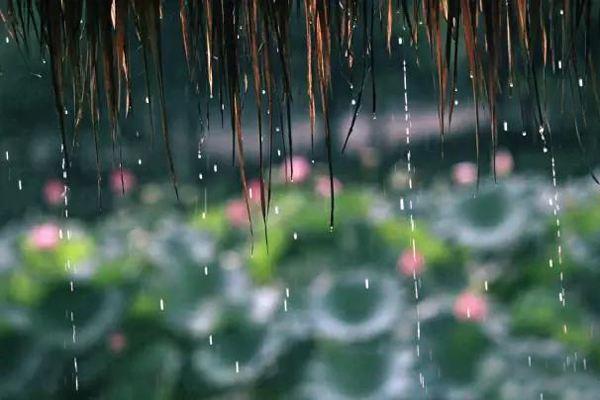 五首经典听雨诗词，带你倚楼听风雨，淡看江湖路