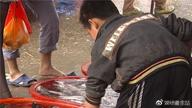 8年前苏州最小网红杀鱼弟，17岁选择自杀！中国版被嫌弃的松子！