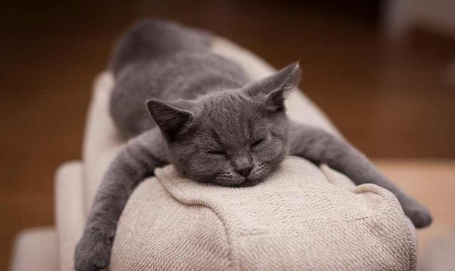 到底选择布沙发还是皮沙发？看完不纠结！