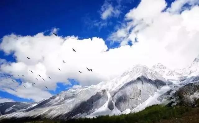 雁荡山，中国最美海上名山，是“东南第一山”，又叫“坐山观山”