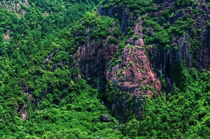 江浙沪唯一的高山滑道漂流，从山顶呼啸而下，400米落差的刺激感