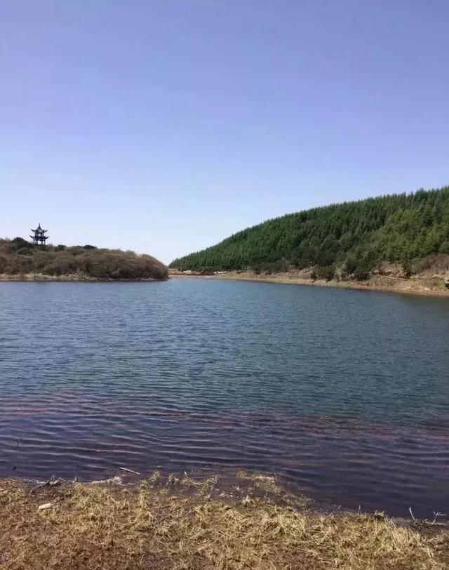 旅游：魅力庄浪之 关山大景区……！